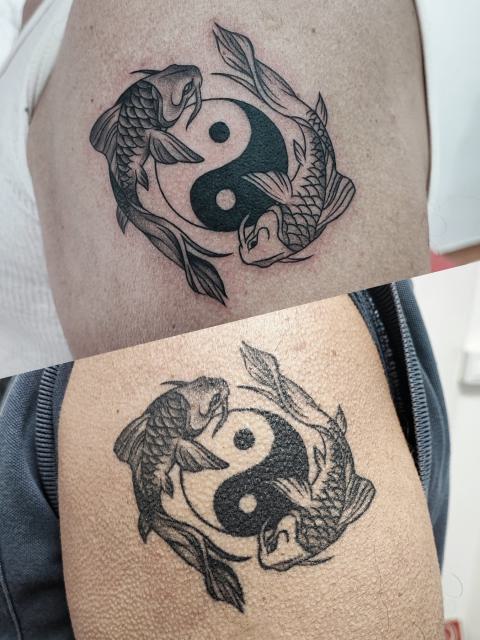 Gyógyult tetoválás – yin-yang koi halakkal a felkaron