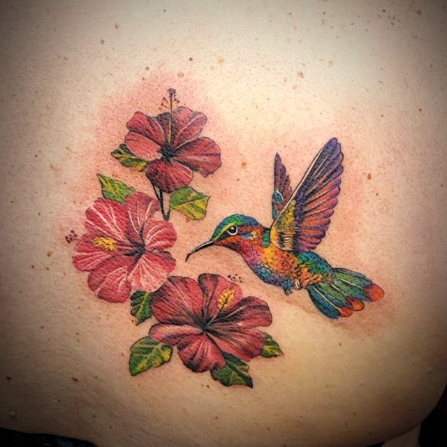Színes kolibri hibiszkusszal a háton